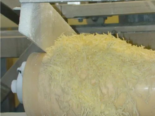 Conveyor Belt for Dairy Industry