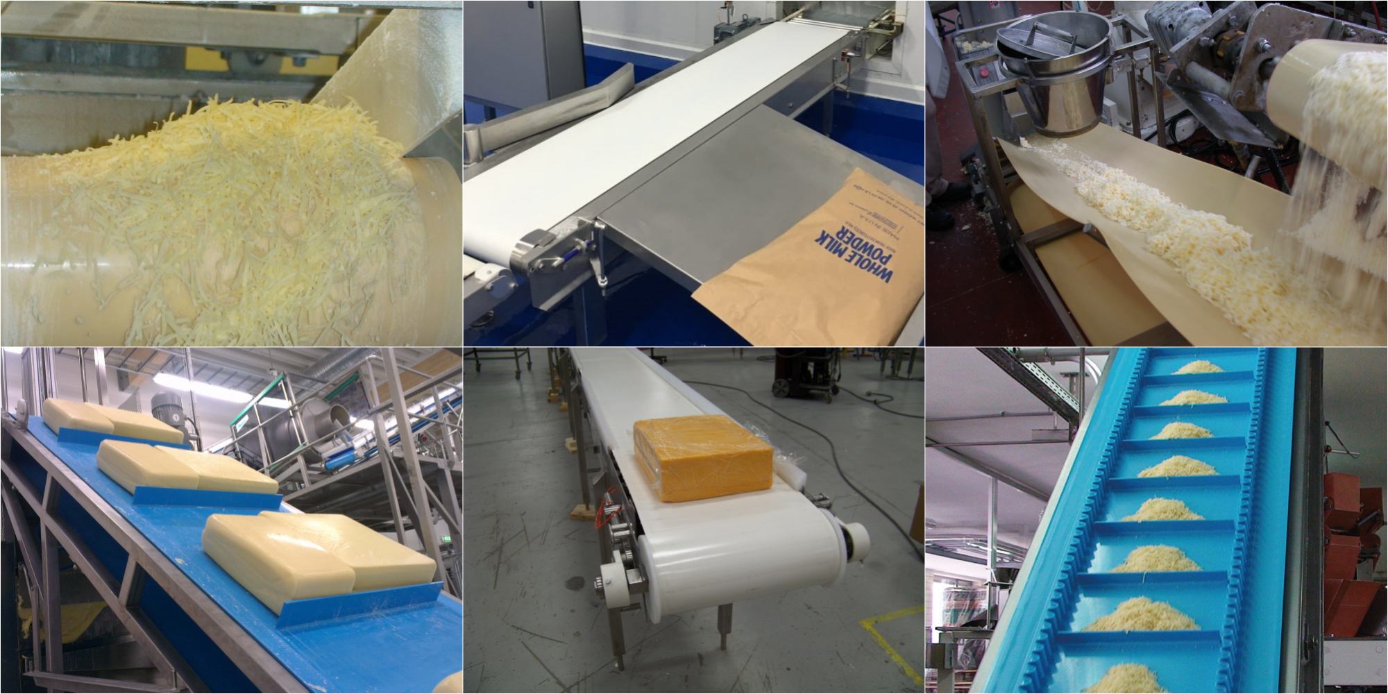 Conveyor Belt for Dairy Industry Inbelts Belt Technology
